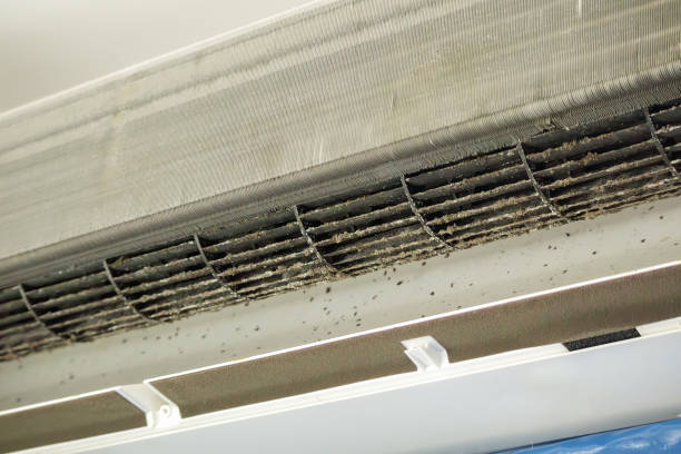 Best Air Duct Cleaning Company Near Me  in Shinnecock Hills, NY